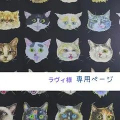 ラヴィ様専用ページ