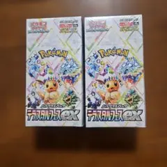 シュリンク付BOX　テラスタルフェスex