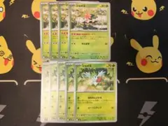 ポケモンカード シェイミ