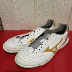 Item thumbnail for item c26868ed-205f-43df-9799-23878c2985b3