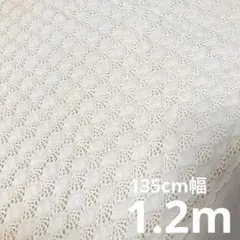 バルファスレースニット生地　アイボリー