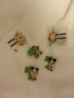 ディズニー　ピンバッジ　アブーズバザール　ジャングルカーニバル　景品