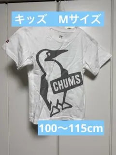 CHUMS キッズ Mサイズ　ロゴTシャツ