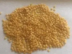 食用ほおずきの種　オレンジチェリー　(ゴールデンベリー） 固定種　無農薬