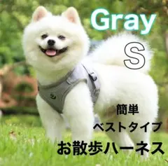 Item thumbnail for item dfc99484-d099-4a7d-a9d9-ab05e6dfecf2