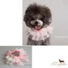 Item thumbnail for item 88adad5a-816b-434f-bbe0-62e21032d2ce