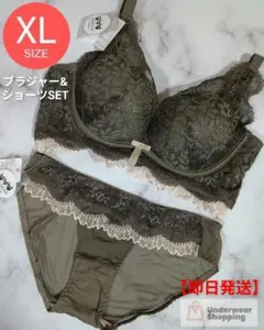 極ふわパット　楽ブラ　盛りブラ　カーキXL　ノンワイヤー　ブラジャーショーツのサムネイル