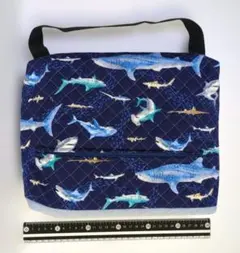 Item thumbnail for item 66fda947-0b02-4123-8bdc-786cfe147e4b