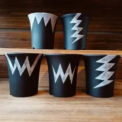 2025年最新】グラキリス 鉢の人気アイテム - メルカリ