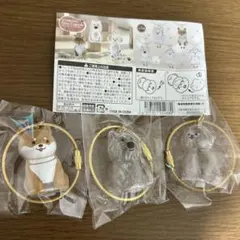 わんこのタイムカプセル