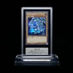 2024 遊戯王 ブルーアイズ・ホワイト・ドラゴン 25th UL #JP001 Amazon.co.jp: 遊戯王カード 青眼の白龍(25th シークレットレア