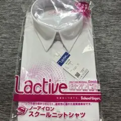 スクールシャツ半袖　L ノーアイロン　女子