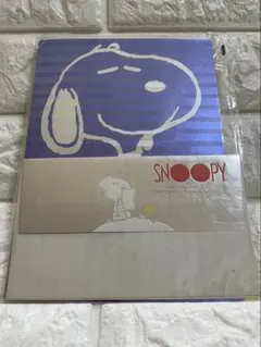昭和　レトロ　スヌーピー　SNOOPY　レターセット　希少
