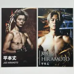 Item thumbnail for item 66da83ec-ae60-47bd-b396-70d7e8c69ea9