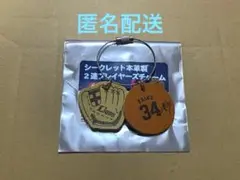 埼玉西武ライオンズ シークレット 本革製 2連プレイヤーズチャーム 34 甲斐野