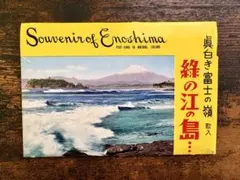 Remain in Naoshima. 直島 ベネッセ 図録　野口里佳　杉本博司 Remain in Naoshima. 直島 ベネッセ 図録 野口里佳 杉本博司 - メルカリ