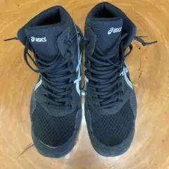 asics snapdown 27cmのサムネイル