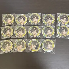 めておら 明雷らいと 缶バッジ 武道館 夏 デフォ