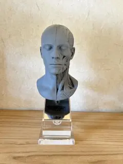 Item thumbnail for item 7153ec6e-042b-4e9a-b08f-7844ee87c90c