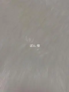 ぽん様 ネイルチップ