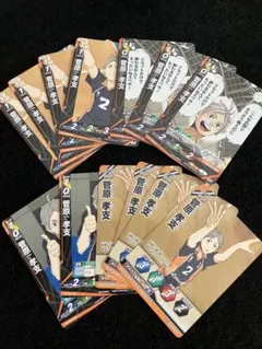 ハイキュー バボカ BREAK 菅原孝支 13枚セット