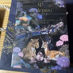 2025 クリスマスコフレclé de peau オンブルクルールクアドリ504