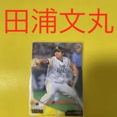 ASICS 秀岳館ユニフォーム(試合着） ASICS 秀岳館ユニフォーム(試合着）