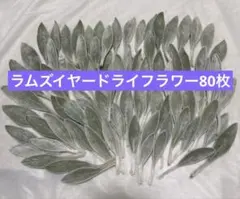 ラムズイヤードライフラワー　ハンドメイド　リーフ　葉　花材　素材　３番のサムネイル