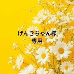 げんきちゃん様 リクエスト 7点 まとめ商品