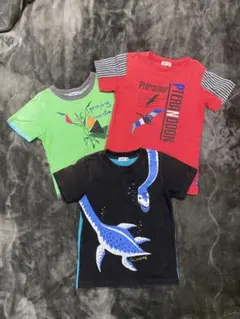 恐竜・昆虫デザイン Tシャツ 3枚セット 120
