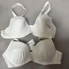 ジュニアブラ 下着・肌着