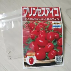 プリンセスアイコの種　　5粒のサムネイル