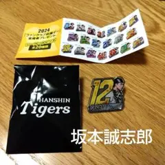 阪神タイガース2024年ピンバッジ　坂本誠志郎