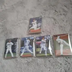 カルビー プロ野球チップスカードセット 100枚