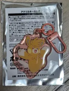 【未開封】ポケモンFancy time ナムコ限定キーホルダー 13個セット Fancy Time”モチーフのナムコオリジナルプライズや特典が盛りだくさん