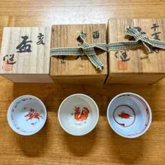 赤絵小鉢(5個)(赤地健 作) うつわのご紹介〜赤地 健〜 | 大阪のうつわ屋 Meetdish
