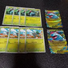 メガフシギバナex　進化ライン　まとめ売り　10枚セット