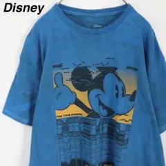 【タイダイ染め】ディズニー Tシャツ ミッキー アニメ キャラクター 総柄 L