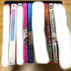 BLまとめ売り バラ売り1冊300円
