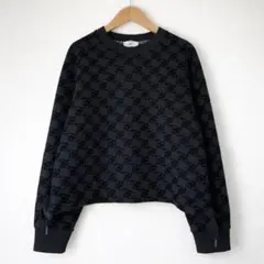 Item thumbnail for item a7cbf28a-40a1-4473-9603-cf2788527a99