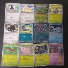 汎用カードまとめ売り　12枚