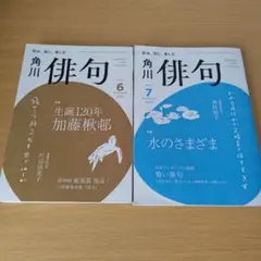 o-264 角川 俳句 2025年6月号 7月号 セット 西村和子 片山由美子