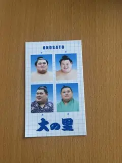 2026年最新】大相撲 証明写真 証明写真風シールの人気アイテム - メルカリ