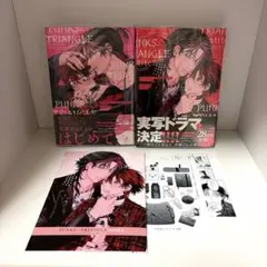 PUNKS△TRIANGLE 沖田有帆　2冊セット
