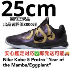 Nike Kobe 5 Protro 
