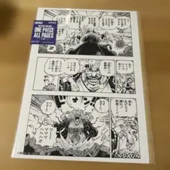 ONE PIECE BASE SHOP ALL PAGES ロー キッド 2 - メルカリ