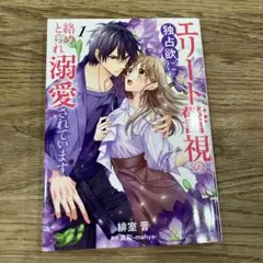 女性漫画 エリート警視の独占欲に絡めとられ溺愛されています