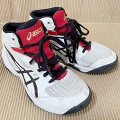 asics ダンクショット バッシュ 21.5cm TBF139