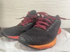 26cm asics DynaFlyte 2 スニーカー ブラック レッド