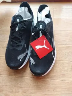 Item thumbnail for item 3f33d72e-360d-421c-8ebb-710d537655c5